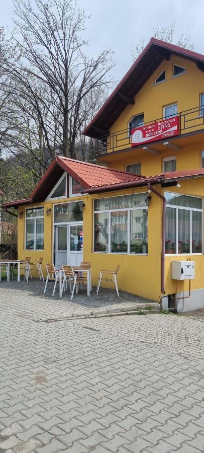 Pensiune Restaurant Sfinx Buşteni Buitenkant foto