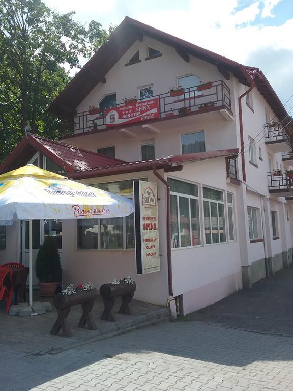 Pensiune Restaurant Sfinx Buşteni Buitenkant foto